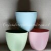 Bases de Plastico