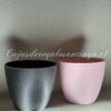 Bases de Plastico - Imagen 6